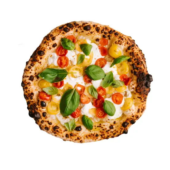 Janani Lover Nonveg Pizza